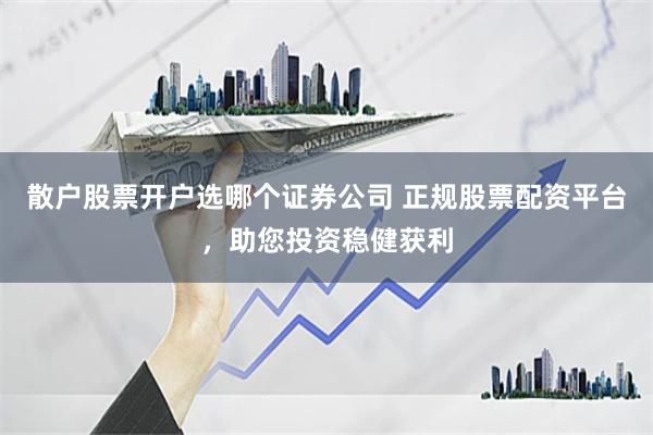 散户股票开户选哪个证券公司 正规股票配资平台，助您投资稳健获利